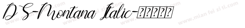 DS-Montana Italic字体转换